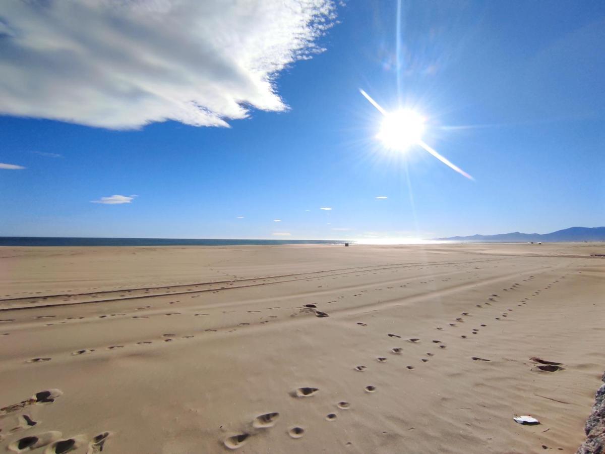 Magnifique T2 Au Calme Avec Une Superbe Vue Sur Le Port Canet-en-Roussillon Exteriör bild